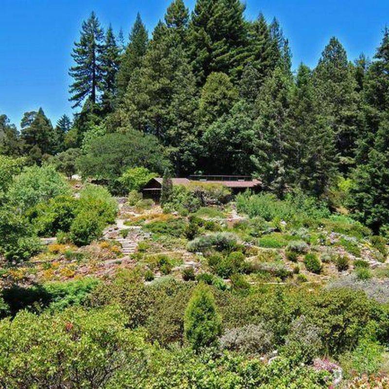 The Regional Parks Botanic Garden at Tilden Park