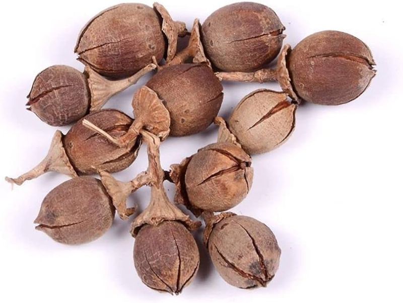 The capsules contain seeds that may start new plants