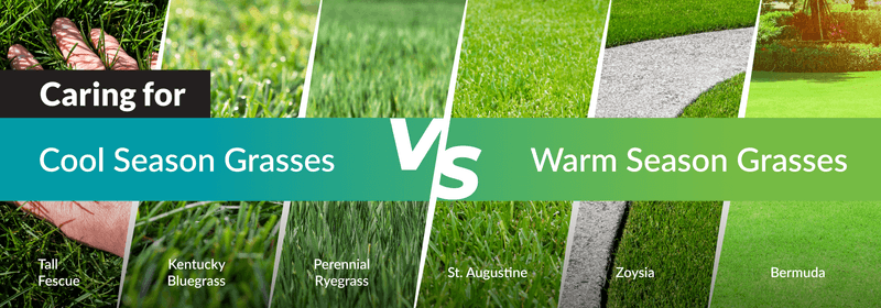 The grass type determines the repair
