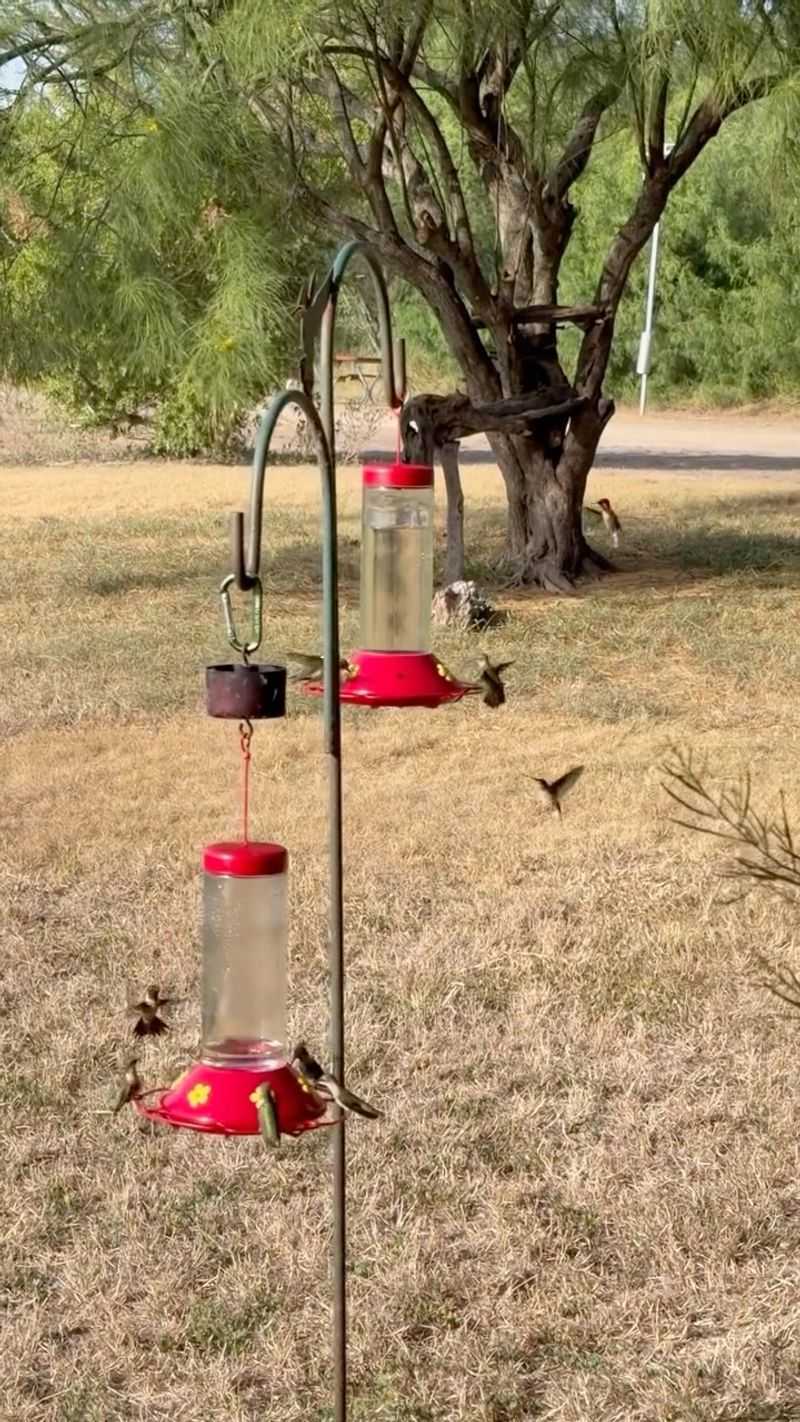 The grounded meaning is a reliable fall feeding stop