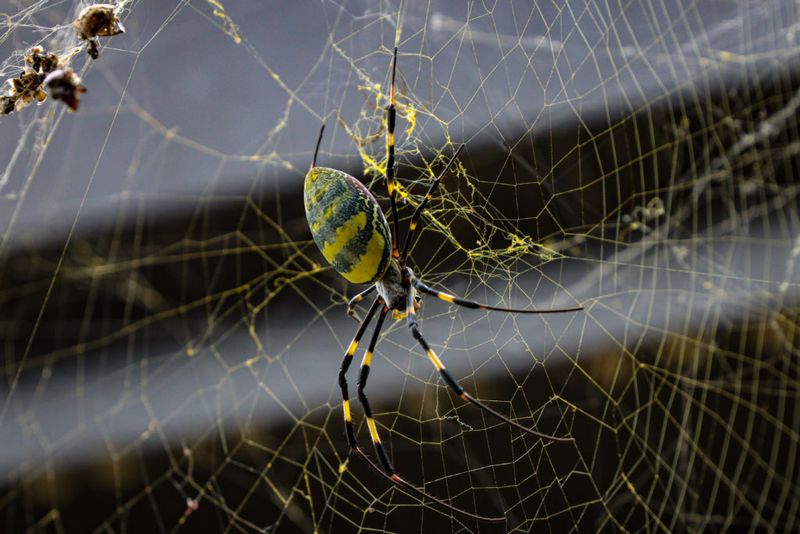 The human-safety concern is limited, but the ecological question remains open The human-safety concern is limited, but the ecological question remains open