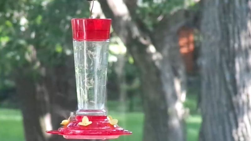 The overlooked mistake is refilling old nectar