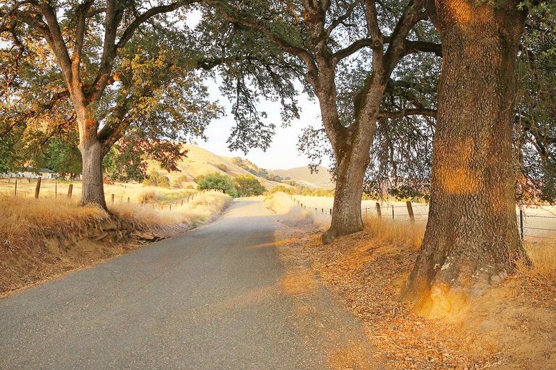 The permit rule belongs to the local jurisdiction