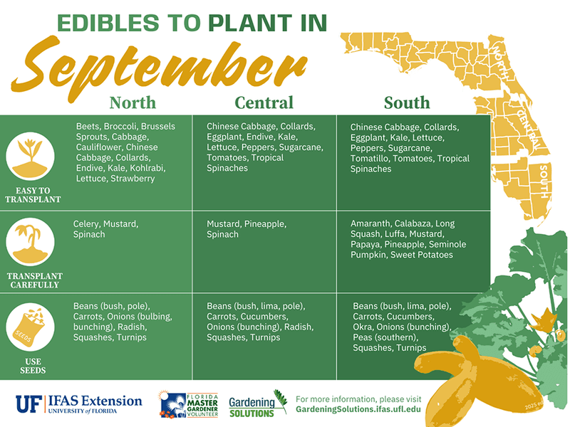 The planting window depends on which Florida you garden in The planting window depends on which Florida you garden in