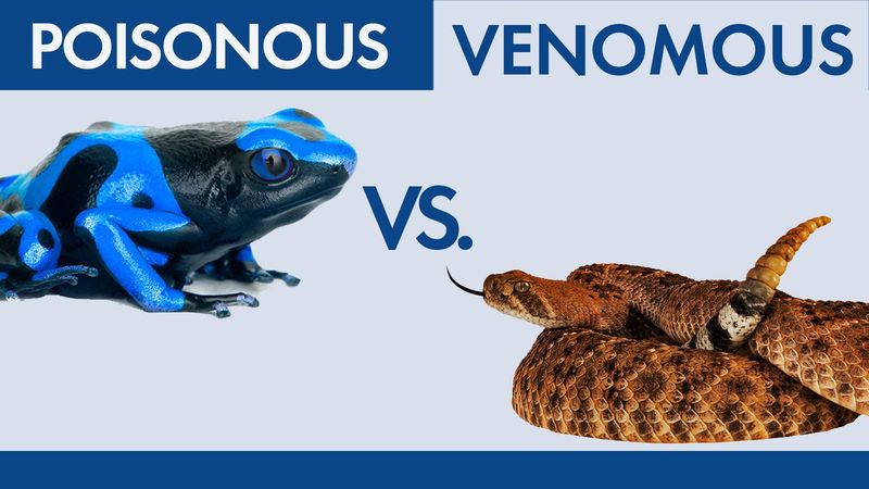 The rattlesnake-venom comparison is not supported