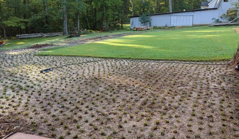 The right grass still fails in the wrong light or season