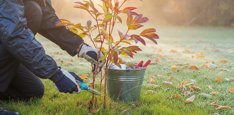 The safe fall-care rule The safe fall-care rule