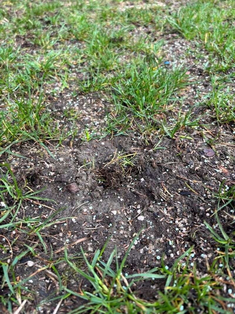 The seed may never be reaching soil