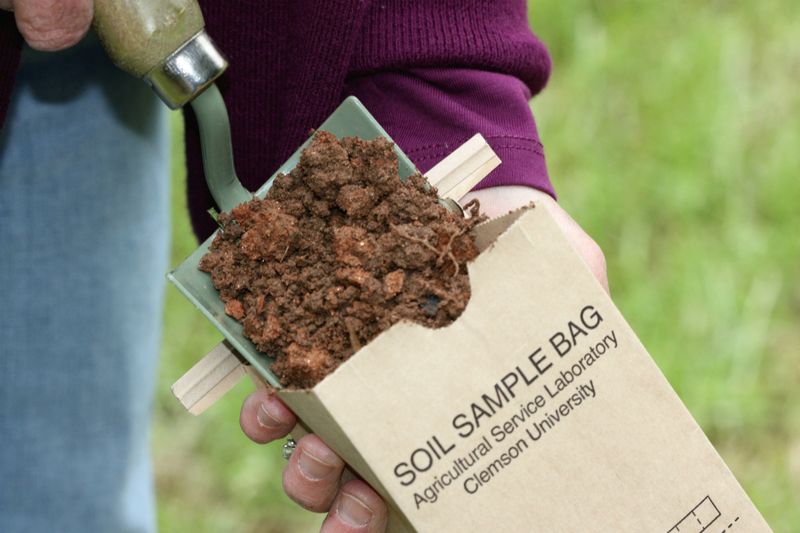 The soil problem worth finding before spring