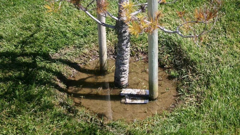 The warning pattern begins with soil that stays wet
