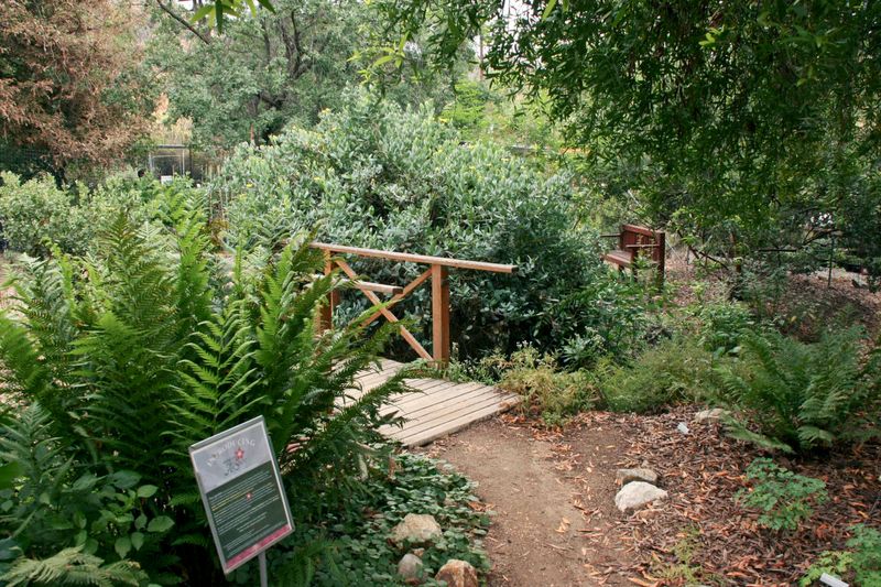 Theodore Payne Foundation, Sun Valley