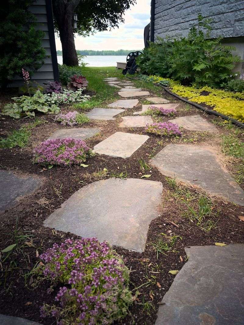 Thyme