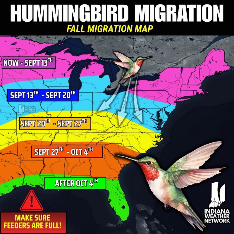 Timing depends on place, species, and weather Timing depends on place, species, and weather