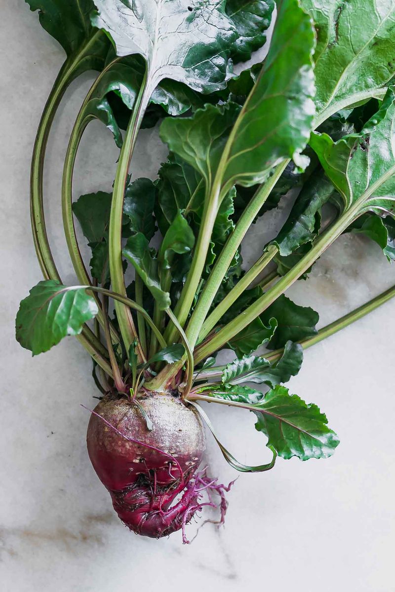 Top and store beets before quality slips Top and store beets before quality slips