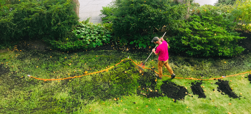 Top-dress with compost instead of pushing new growth