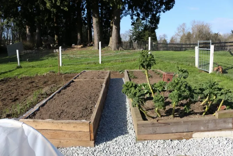 Top up the measured shortfall and leave established soil intact