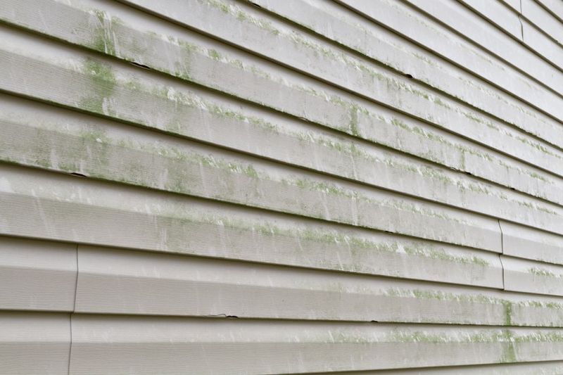 Trace the moisture pattern when the green film returns