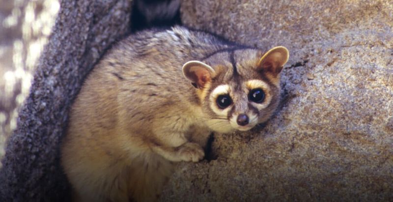 Treat a fall visit as a habitat clue