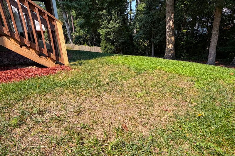 Treat bare ground and grass type as separate repair decisions Treat bare ground and grass type as separate repair decisions