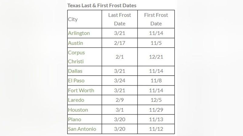 Treat frost risk as a moving deadline