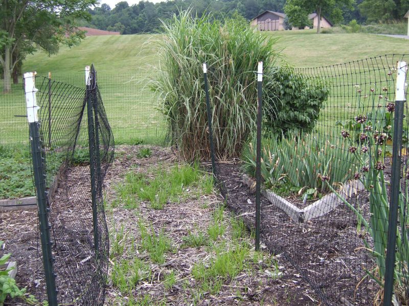 Treat the Raid as a Seasonal Yard Check