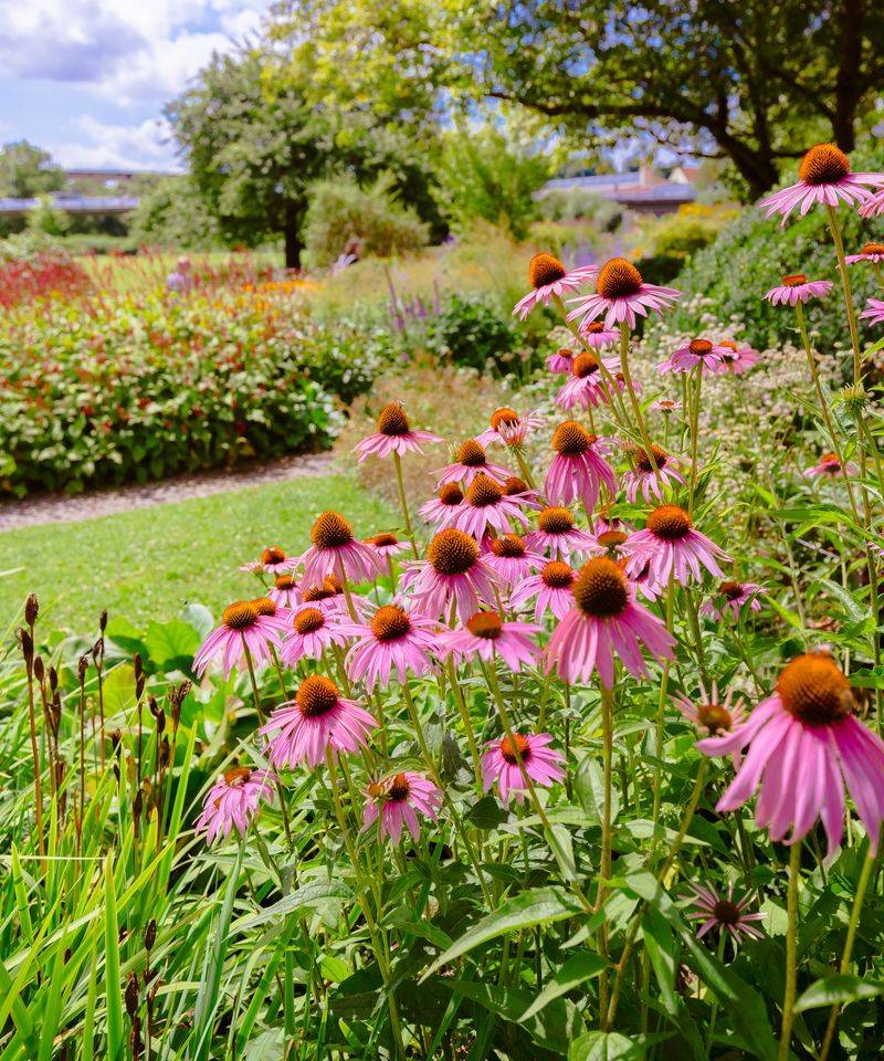 Treat the planting site as the first suspect, not the final diagnosis