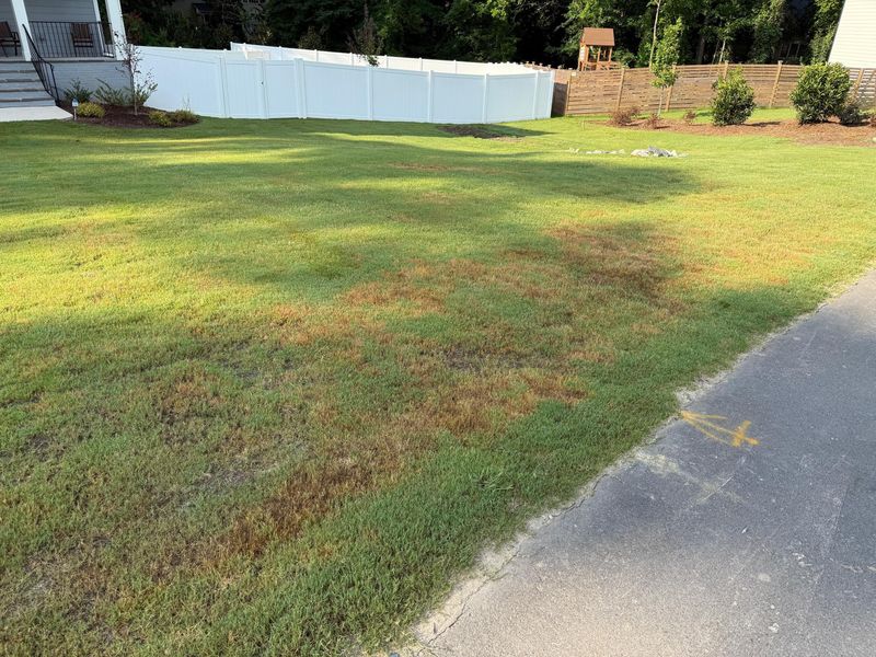 Treat the post-mowing color change as a clue