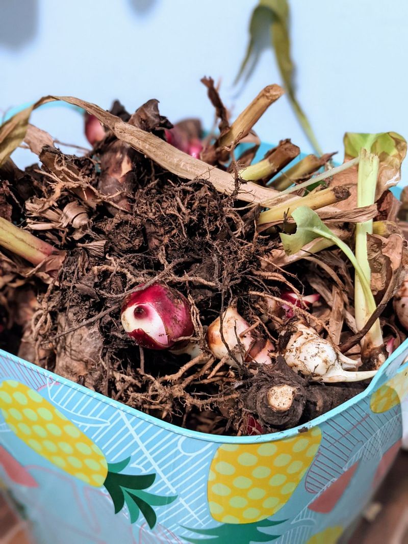 Treat warm-climate beds and containers as separate risk cases Treat warm-climate beds and containers as separate risk cases