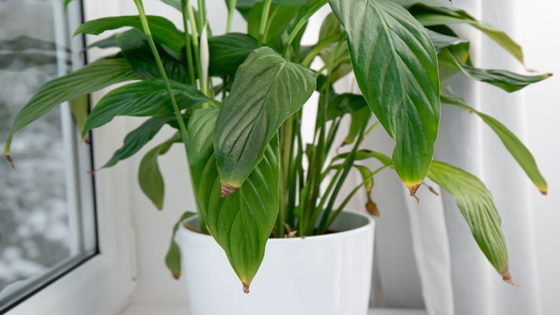 Treat water quality as a troubleshooting test