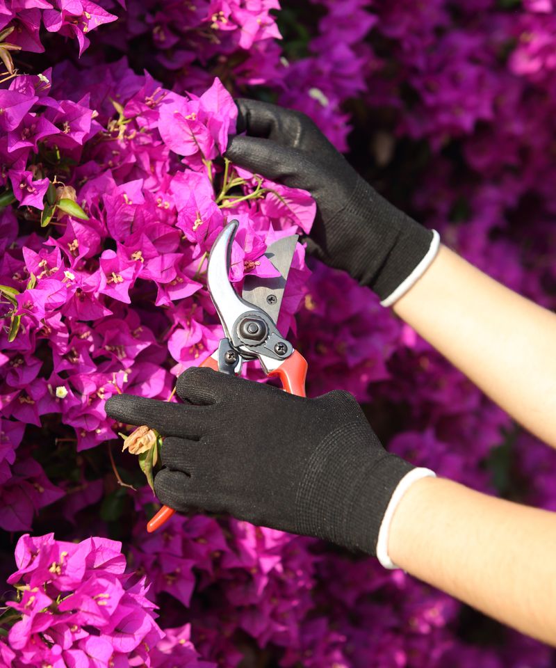 Trim selectively in September and save the hard cut for later