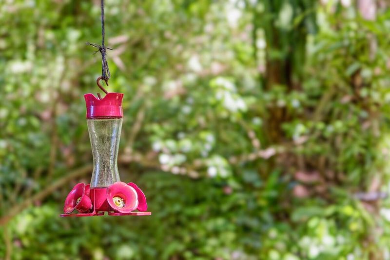 Troubleshoot an empty feeder without blaming the recipe Troubleshoot an empty feeder without blaming the recipe