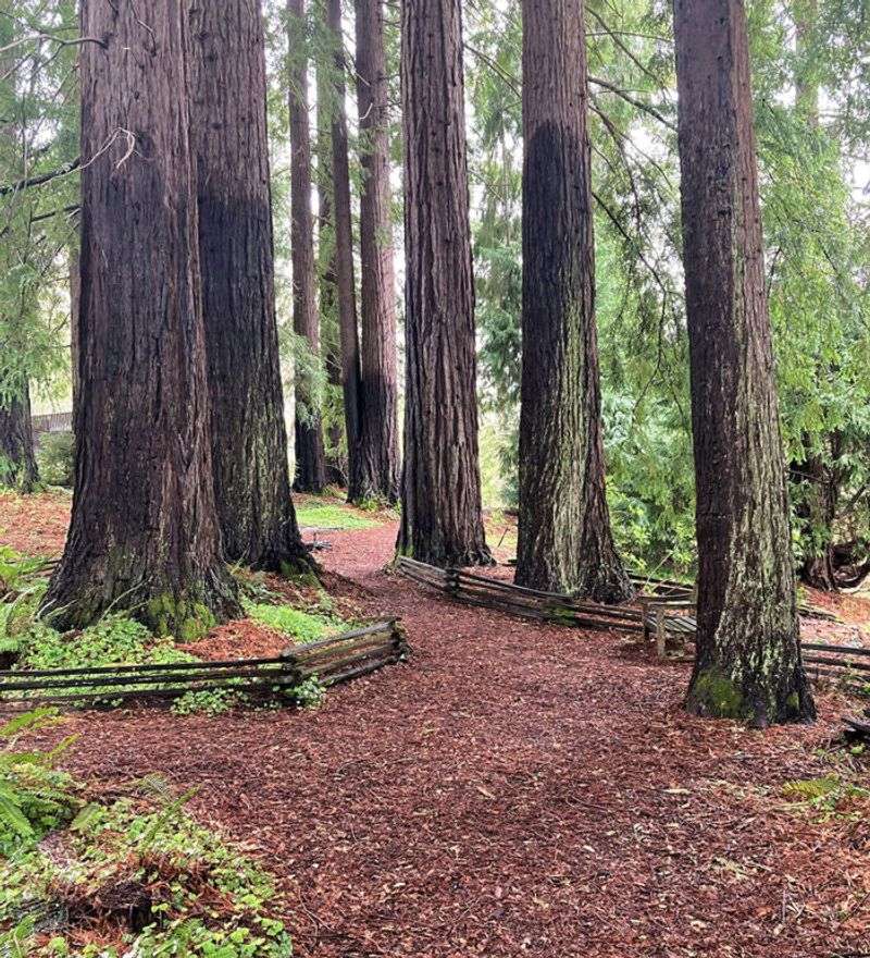 UC Botanical Garden at Berkeley Plant Sale