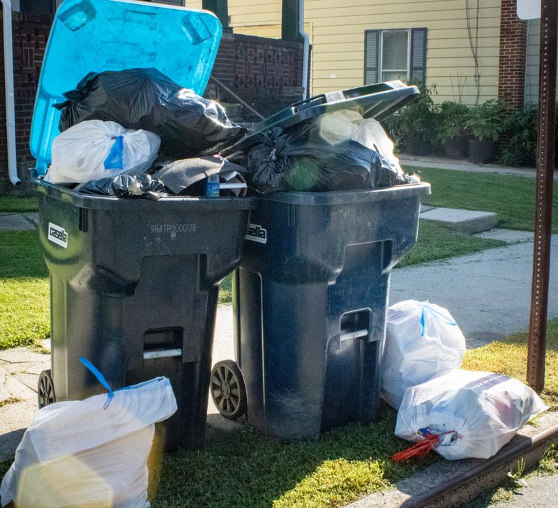 Unsecured Trash and Green Waste Bins