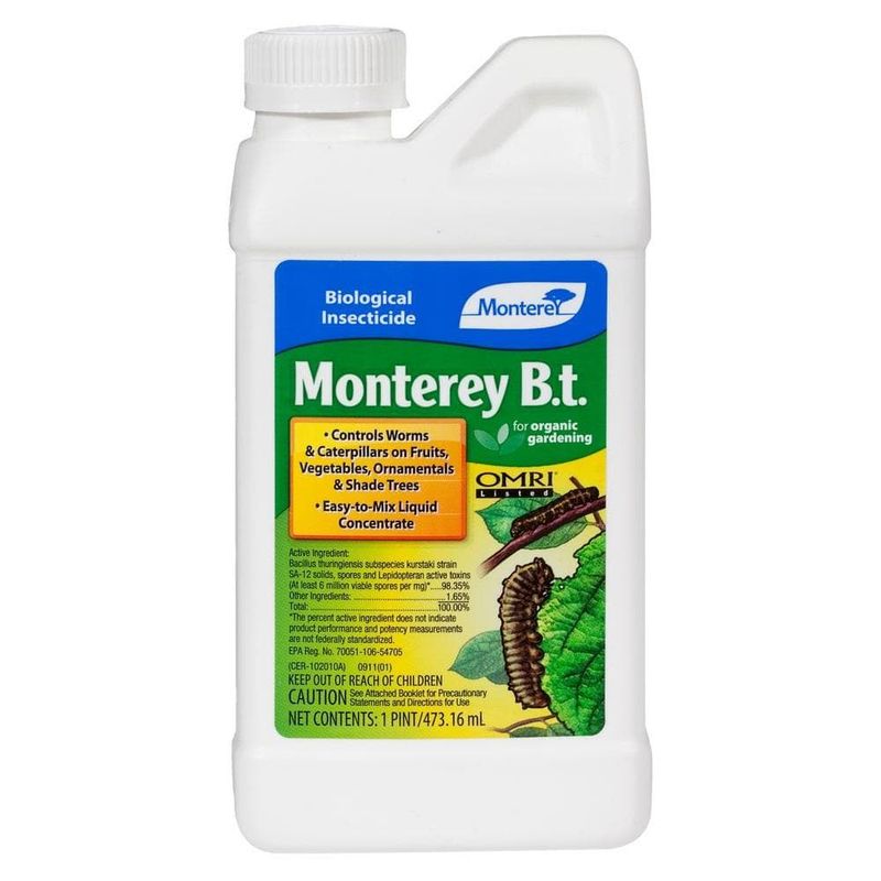 Use Bt early when heavier feeding justifies treatment