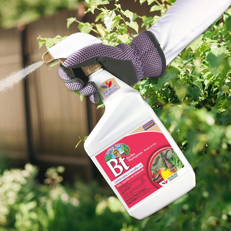 Use Bt when hand-picking no longer keeps up