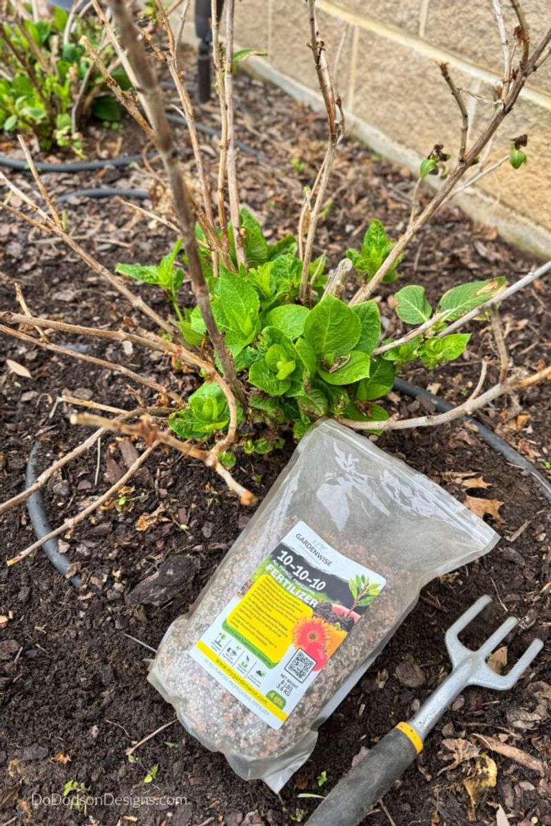 Use Fertilizer Only When the Soil Calls for It