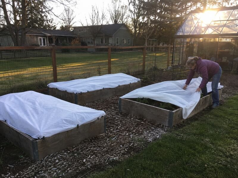 Use Frost Protection Only When It Can Buy Time