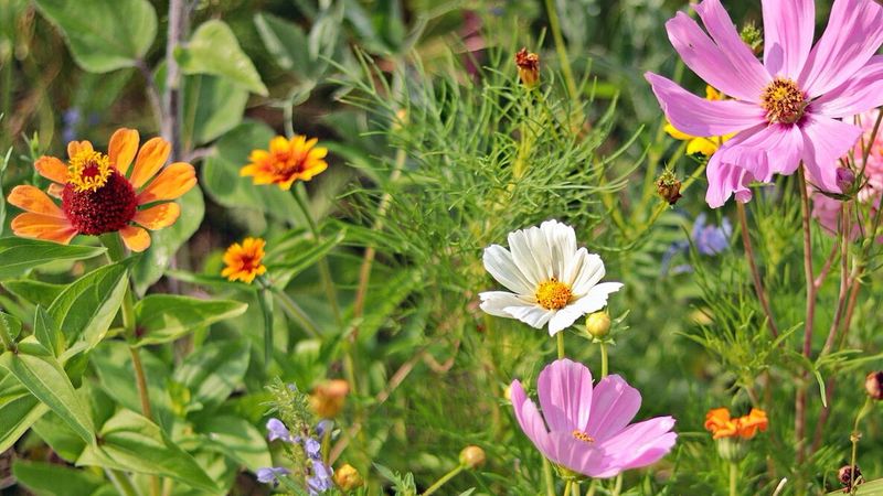 Use September to sequence the work, not rush the planting