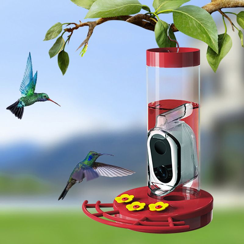 Use Shade, Small Batches, and Cleanable Feeders