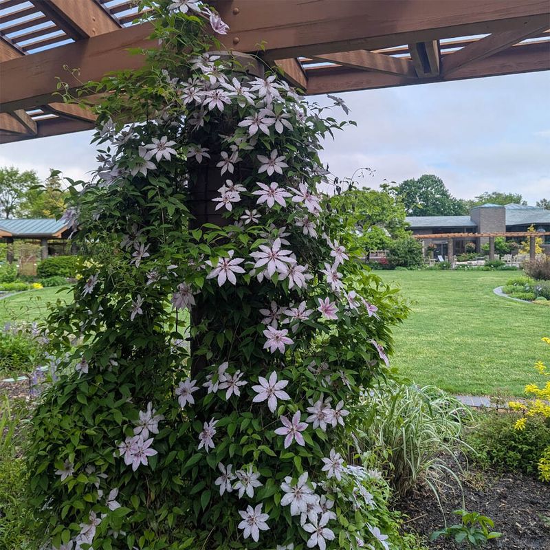 Use Southern conditions to support the next bloom