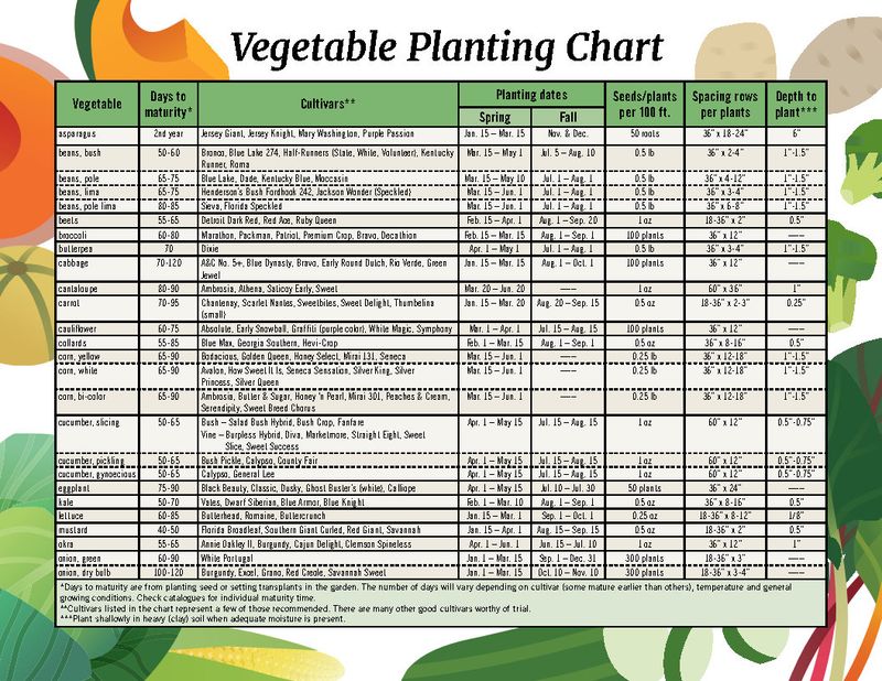 Use a Five-Step Check Before You Plant Use a Five-Step Check Before You Plant
