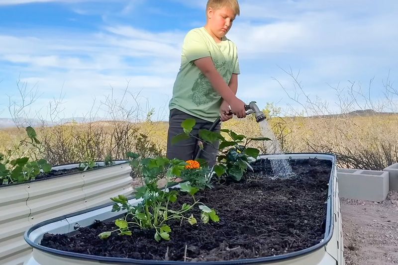 Use a heat-day sequence to guide the next watering decision