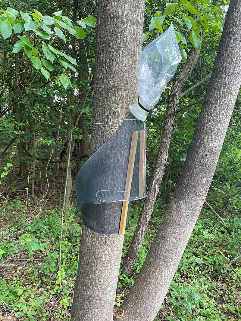Use a measured, wildlife-aware response