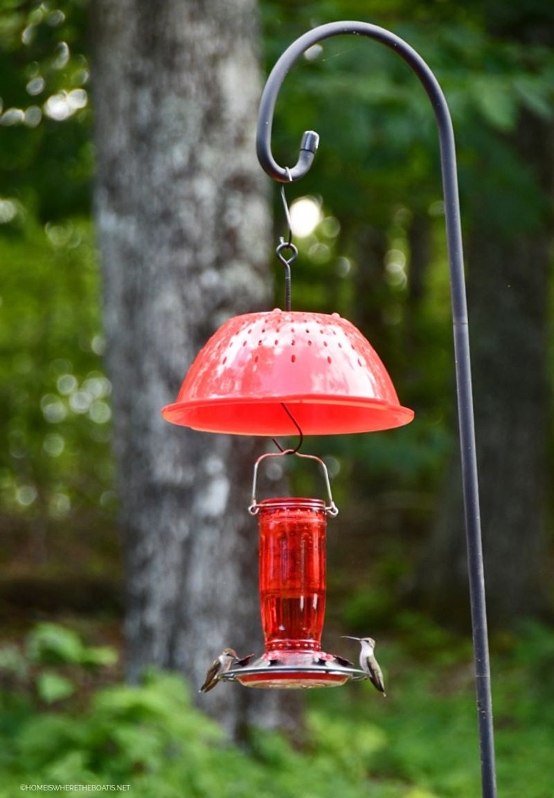 Use a short checklist before concluding the birds are gone
