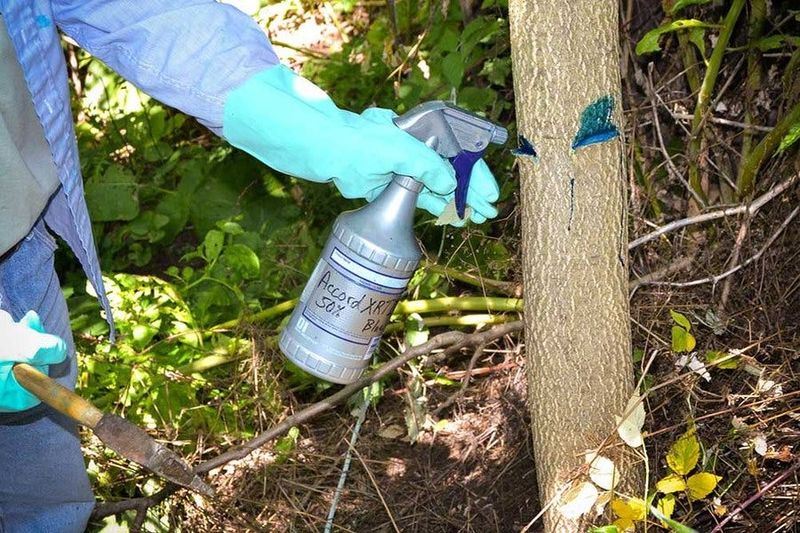 Use a targeted control plan near water