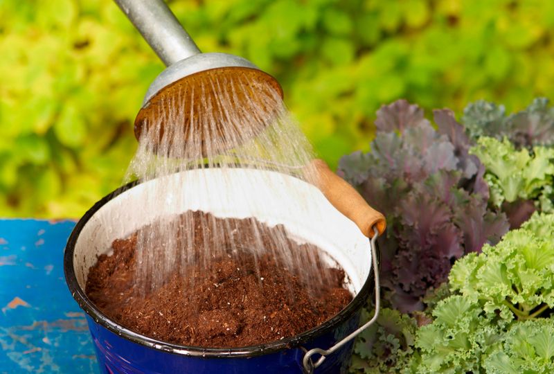 Use a temporary bottom soak only for severe dryness
