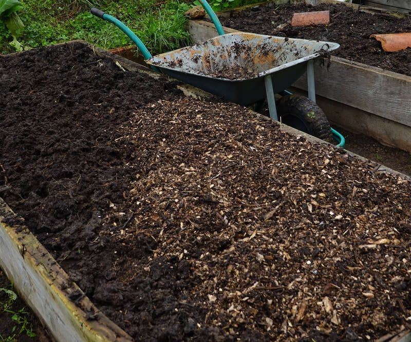 Use amendments carefully and let soil tests guide additions