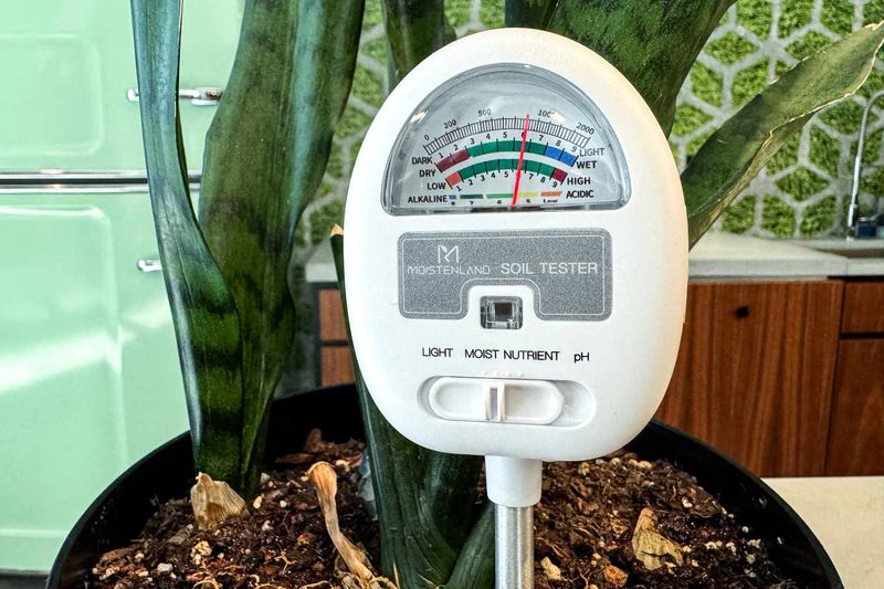 Use controlled dryness, not deliberate drought