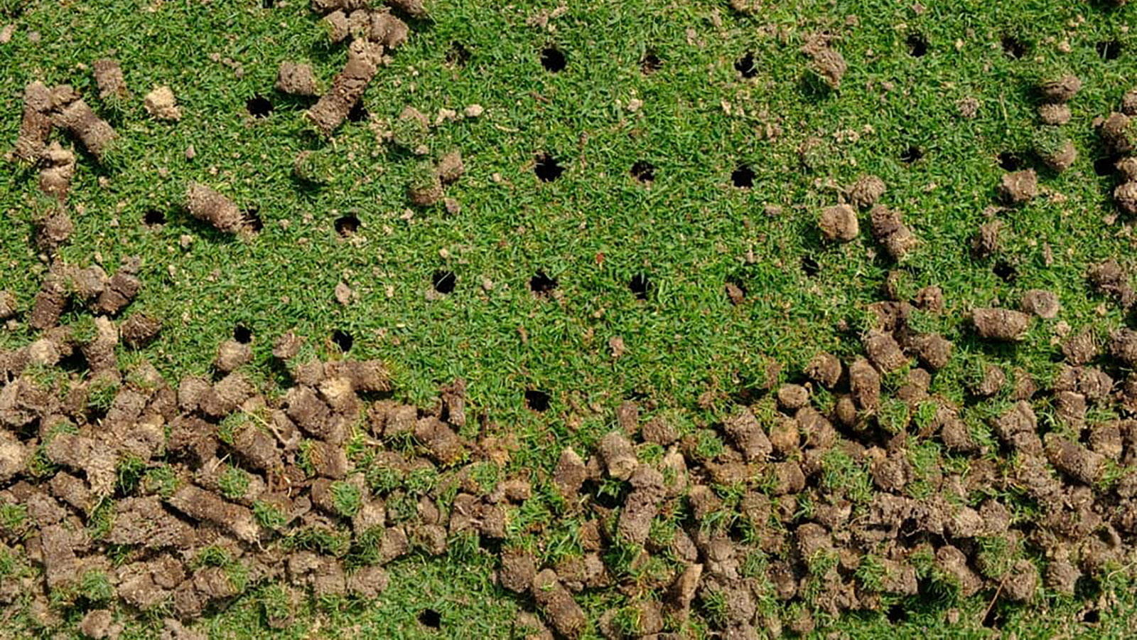 Use core aeration only when compaction limits the lawn Use core aeration only when compaction limits the lawn