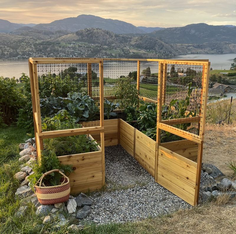Use exclusion and plant selection when the garden matters most